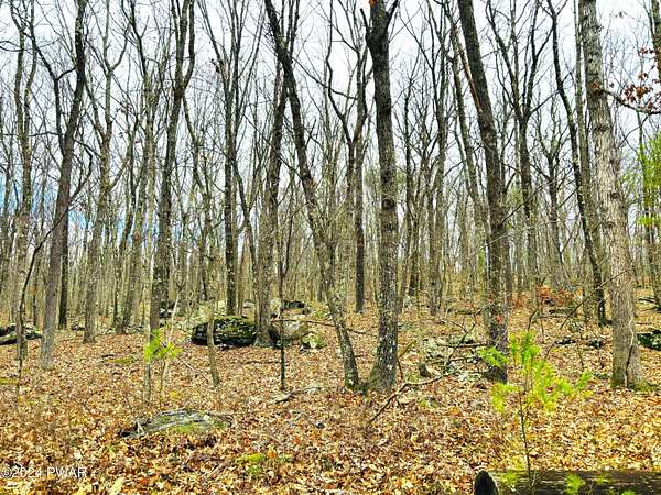 1 Acre of Residential Land for Sale in Hawley, Pennsylvania