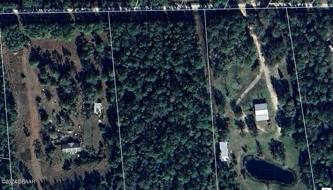 11.09 Acres of Land for Sale in Pierson, Florida