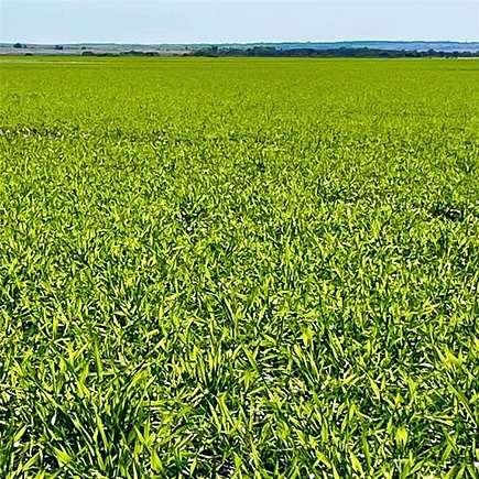 153 Acres of Agricultural Land for Sale in Okeene, Oklahoma