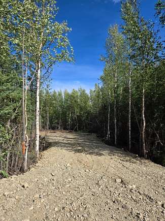 2.4 Acres of Residential Land for Sale in Delta Junction, Alaska