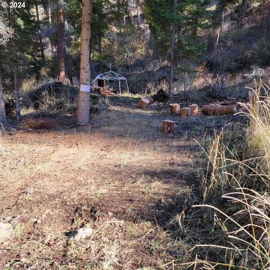 0.55 Acres of Land for Sale in Imnaha, Oregon