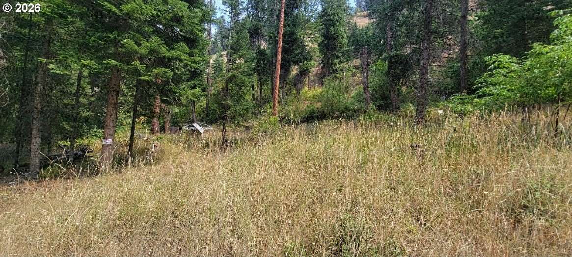 0.55 Acres of Land for Sale in Imnaha, Oregon