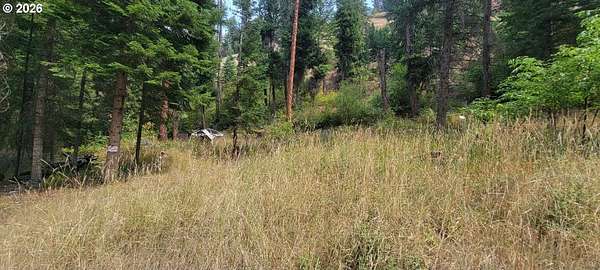 0.55 Acres of Land for Sale in Imnaha, Oregon