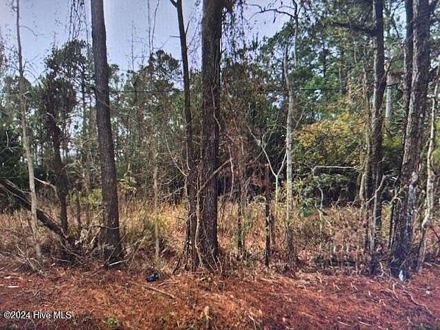 0.76 Acres of Residential Land for Sale in Swansboro, North Carolina