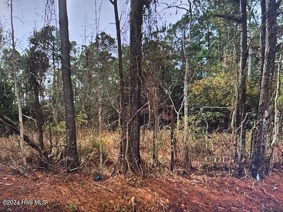 0.76 Acres of Residential Land for Sale in Swansboro, North Carolina