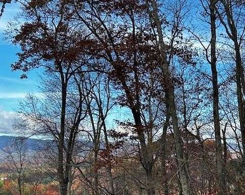 18.8 Acres of Land for Sale in Murphy, North Carolina