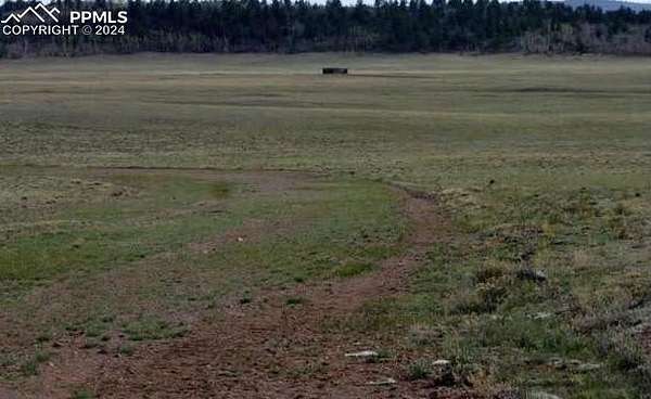 5 Acres of Residential Land for Sale in Hartsel, Colorado