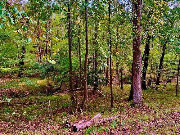 0.8 Acres of Land for Sale in Ellijay, Georgia