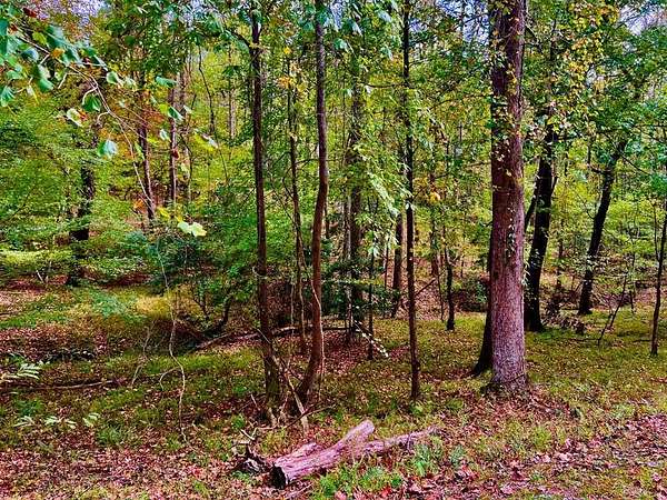 0.8 Acres of Residential Land for Sale in Ellijay, Georgia