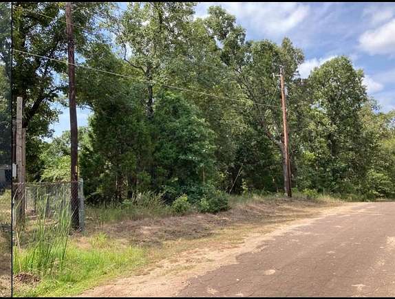 0.184 Acres of Land for Sale in Log Cabin, Texas