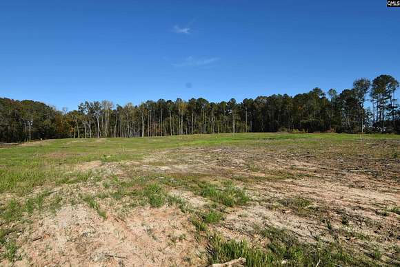 1 Acre of Residential Land for Sale in Prosperity, South Carolina