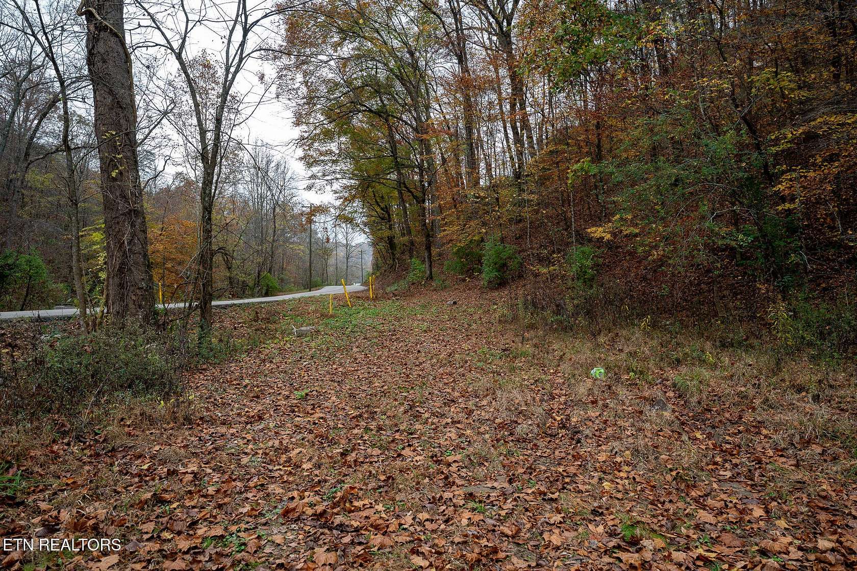 34.5 Acres of Land for Sale in Knoxville, Tennessee