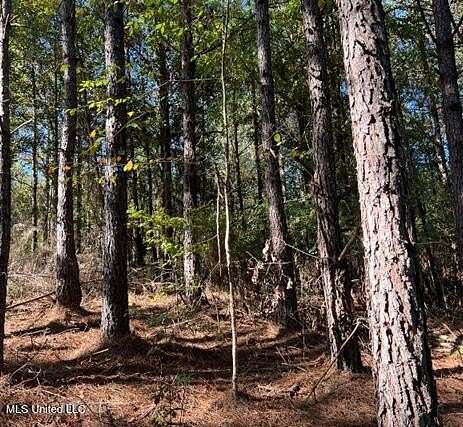 133 Acres of Recreational Land for Sale in Meridian, Mississippi