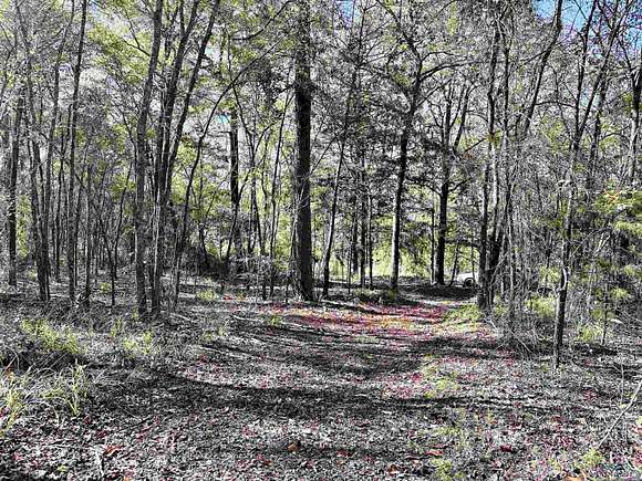 5.054 Acres of Residential Land for Sale in Winnsboro, Texas