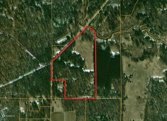 16.88 Acres of Recreational Land for Sale in Irons, Michigan