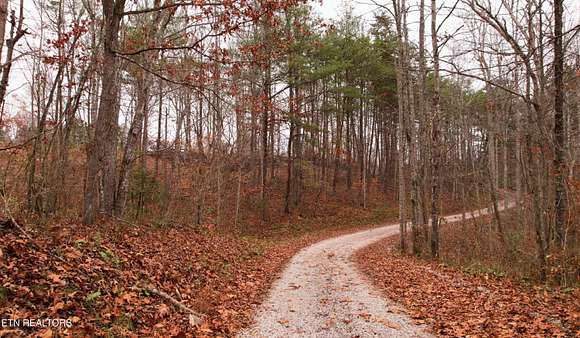 35.2 Acres of Recreational Land for Sale in La Follette, Tennessee