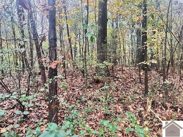 0.65 Acres of Residential Land for Sale in Paducah, Kentucky