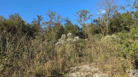 3.7 Acres of Land for Sale in Dekalb Township, Arkansas