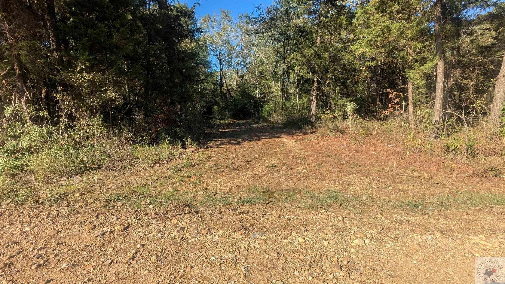 11.5 Acres of Land for Sale in Dekalb Township, Arkansas