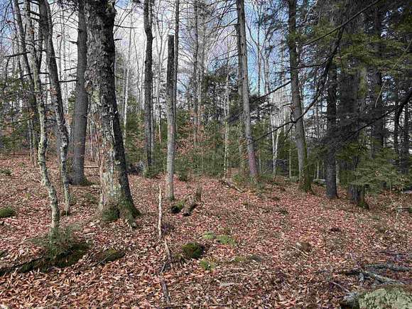 1 Acre of Residential Land for Sale in Jamaica, Vermont