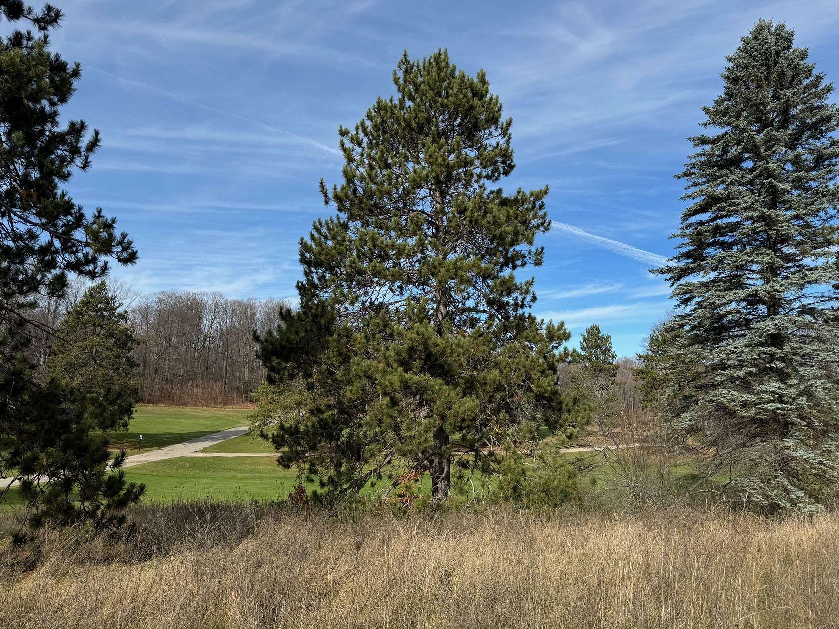 Land for Sale in Gaylord, Michigan