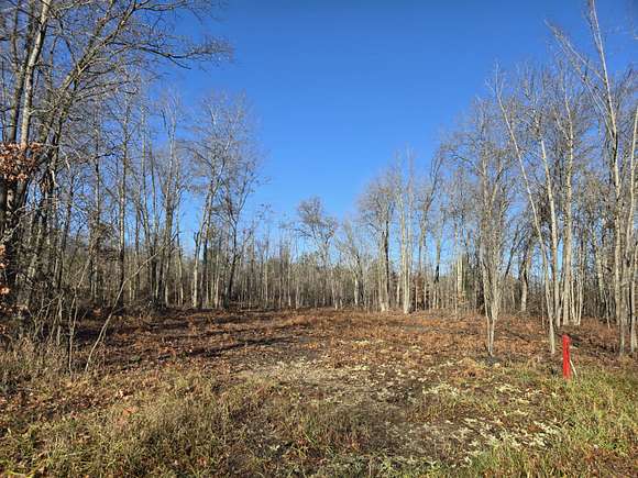 Residential Land for Sale in Johannesburg, Michigan