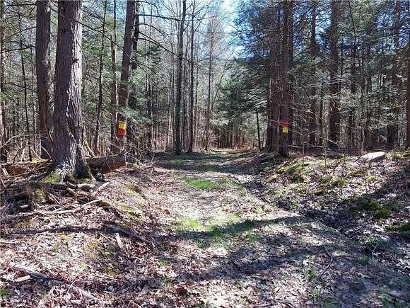 112.5 Acres of Recreational Land for Sale in Hancock, New York