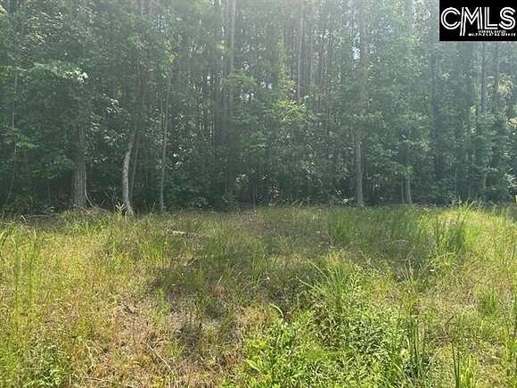 1.13 Acres of Residential Land for Sale in Chappells, South Carolina