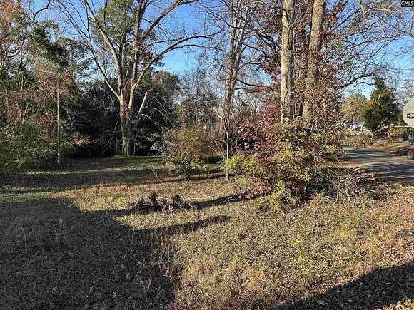 0.41 Acres of Residential Land for Sale in Newberry, South Carolina