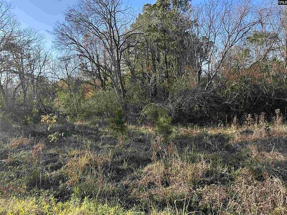 0.41 Acres of Residential Land for Sale in Newberry, South Carolina