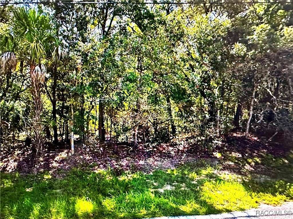 0.96 Acres of Residential Land for Sale in Hernando, Florida