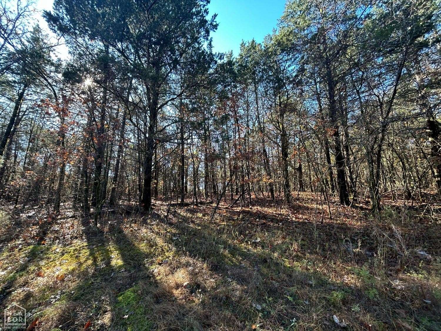 20 Acres of Recreational Land for Sale in Lead Hill, Arkansas