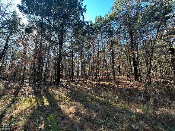 20 Acres of Recreational Land for Sale in Lead Hill, Arkansas