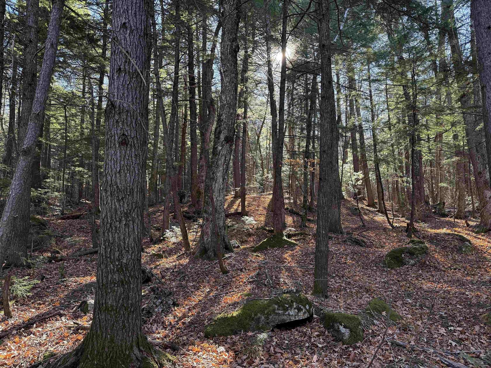 6.1 Acres of Residential Land for Sale in Madison, New Hampshire