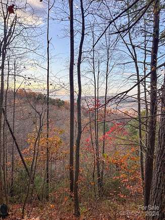 3.93 Acres of Land for Sale in Asheville, North Carolina