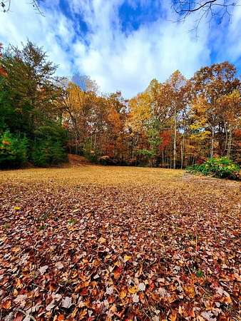 10.6 Acres of Land for Sale in Blairsville, Georgia
