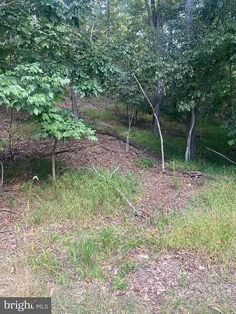 0.25 Acres of Residential Land for Sale in Cross Junction, Virginia