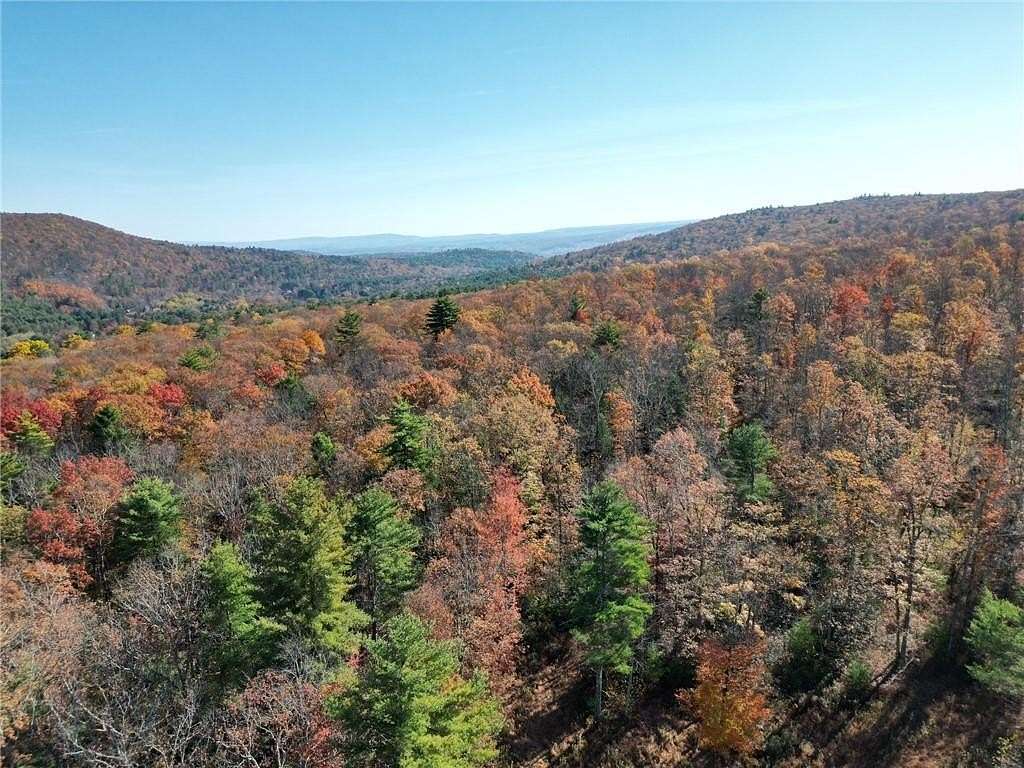 65.9 Acres of Recreational Land for Sale in Wawarsing, New York