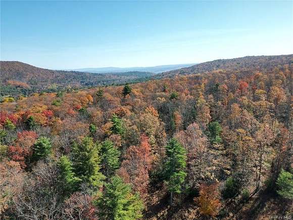 65.9 Acres of Recreational Land for Sale in Napanoch, New York