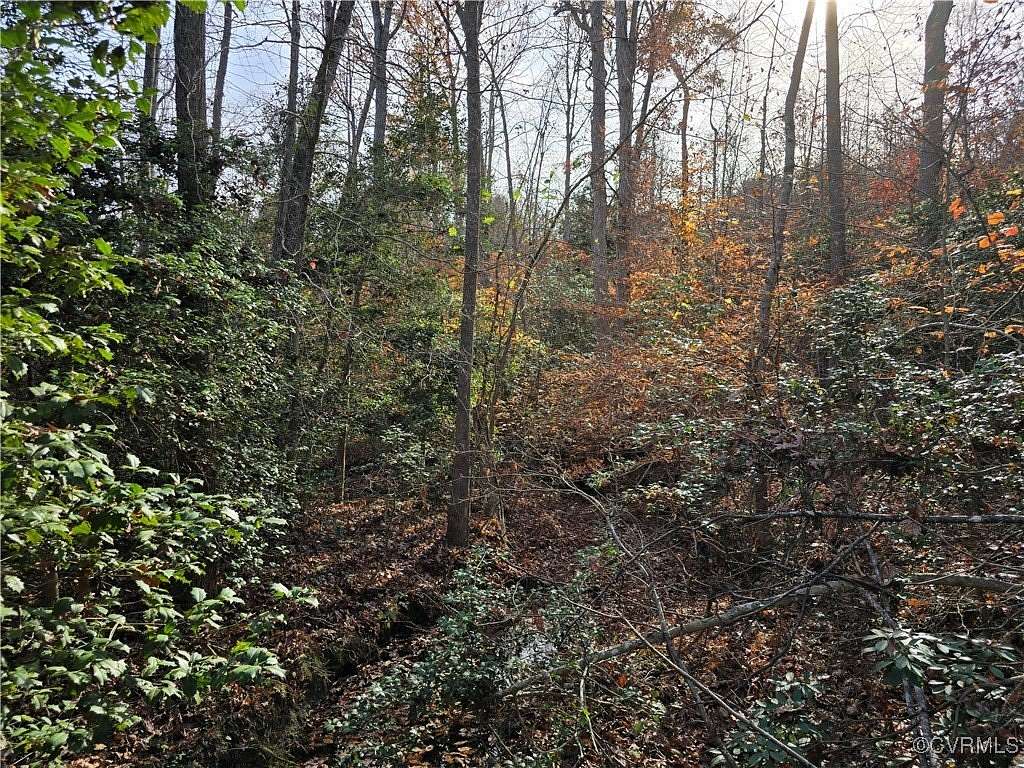 11.44 Acres of Land for Sale in Louisa, Virginia