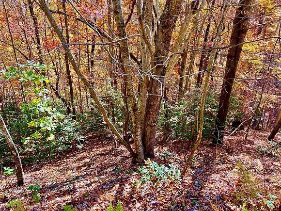 1.42 Acres of Land for Sale in Blairsville, Georgia