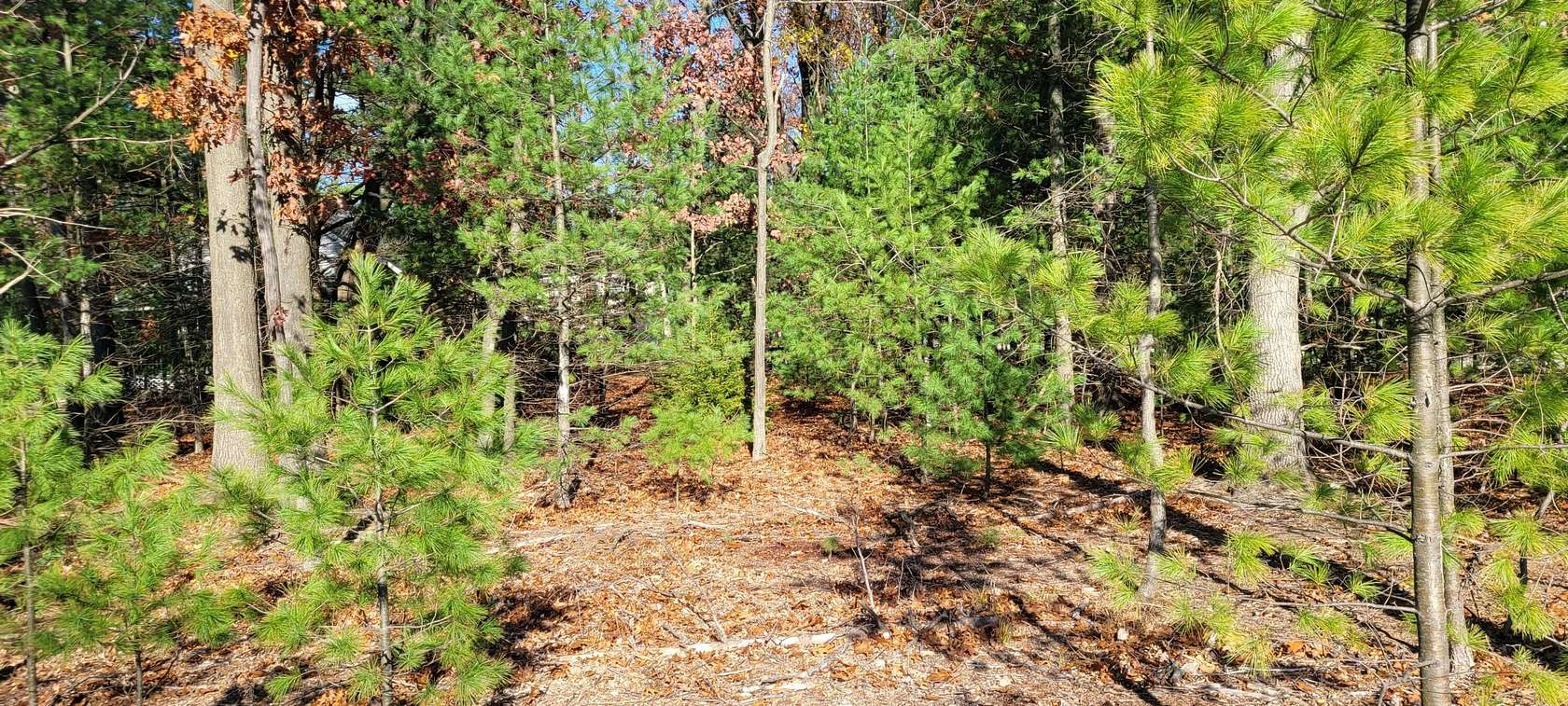 0.23 Acres of Residential Land for Sale in Pentwater, Michigan