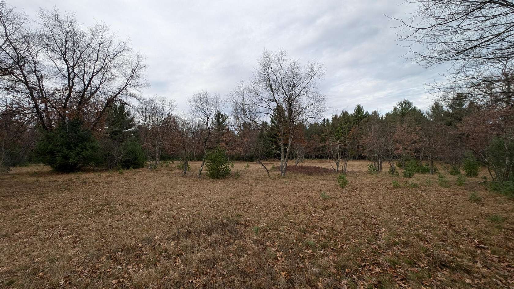 2.5 Acres of Land for Sale in Irons, Michigan