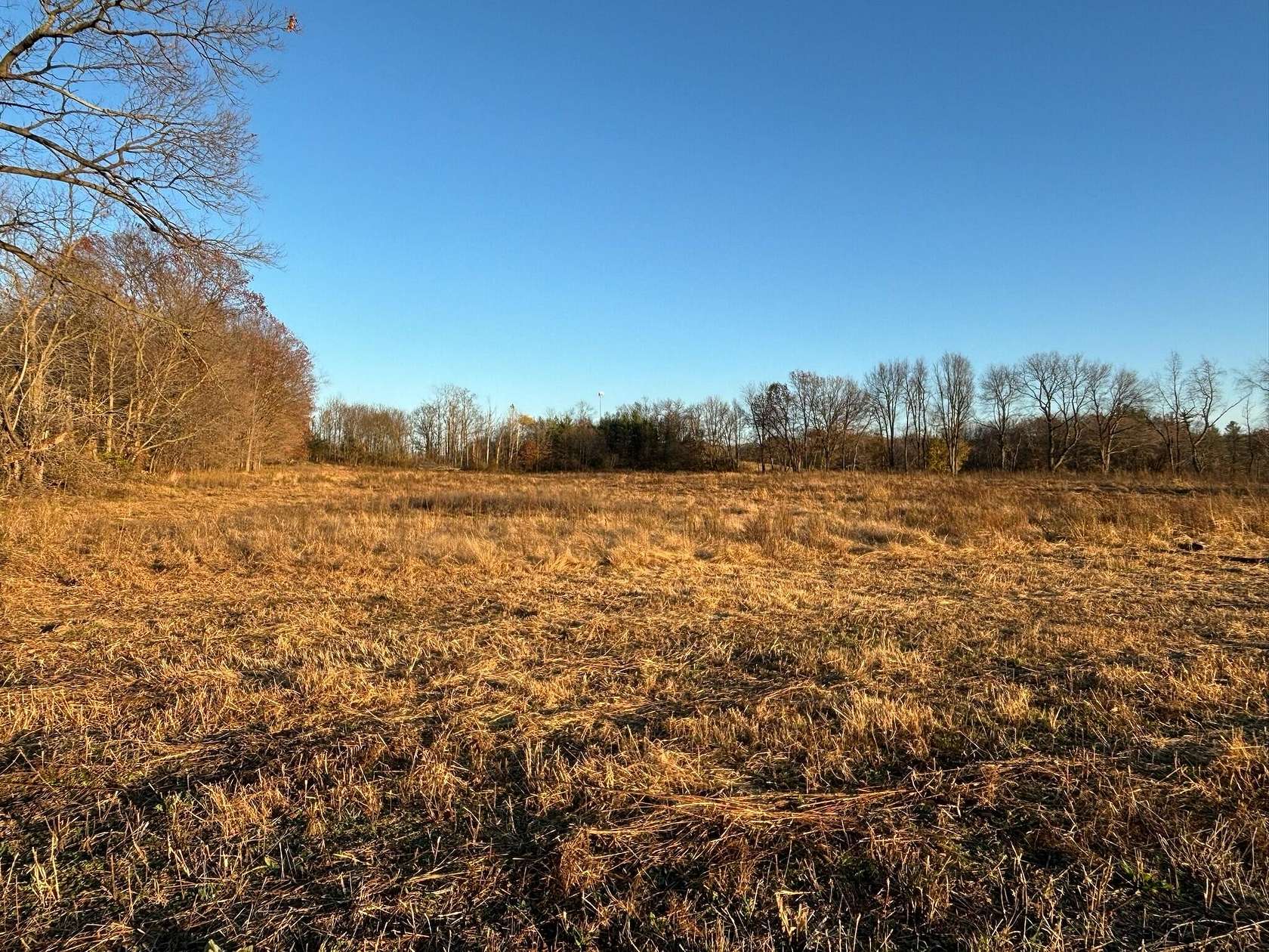 4.1 Acres of Residential Land for Sale in Caledonia, Michigan