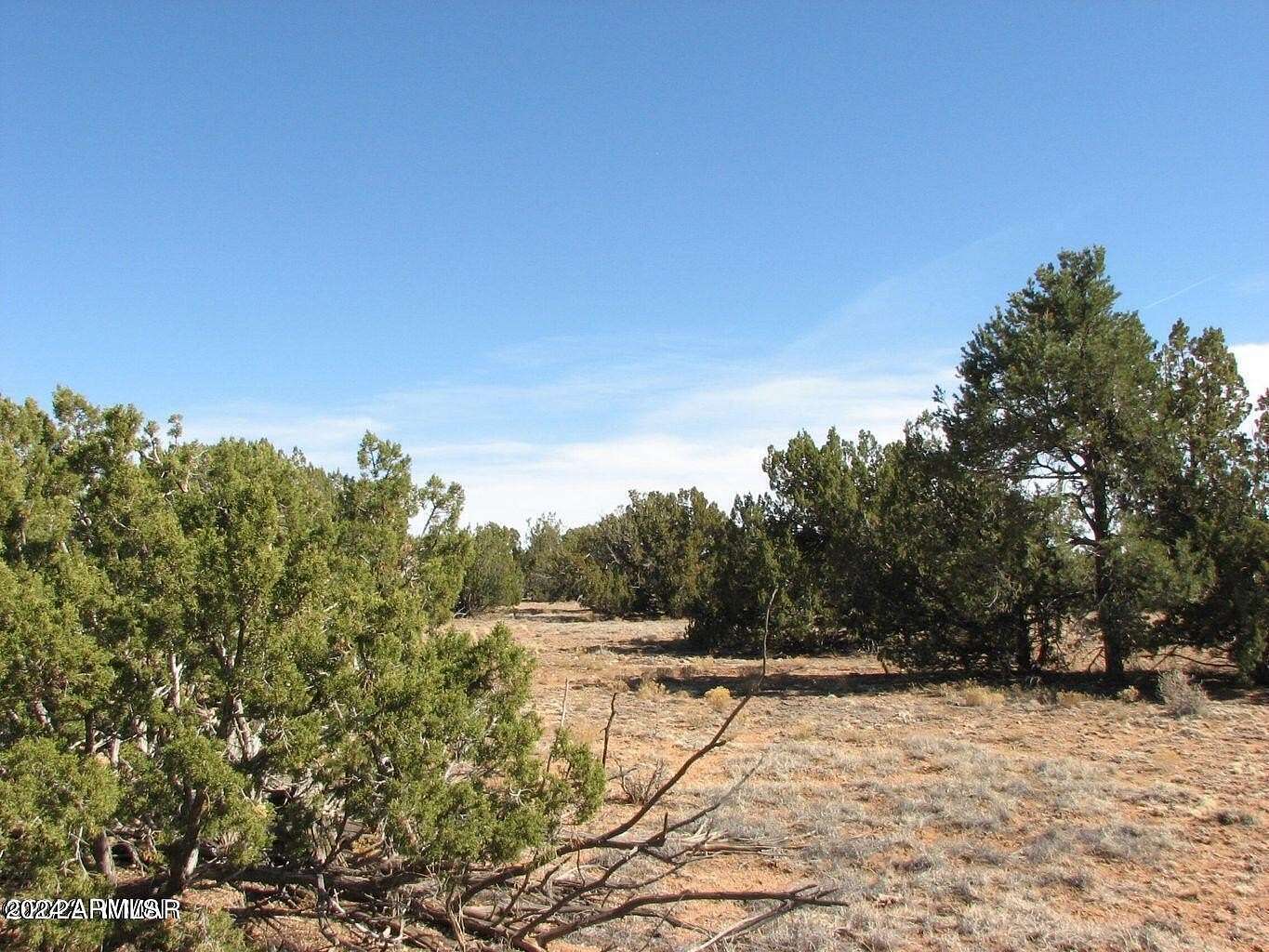 20 Acres of Land for Sale in Heber, Arizona