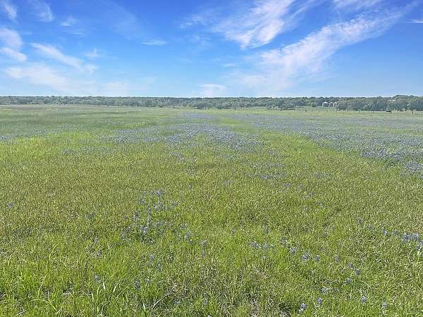 26.2 Acres of Agricultural Land for Sale in Schulenburg, Texas