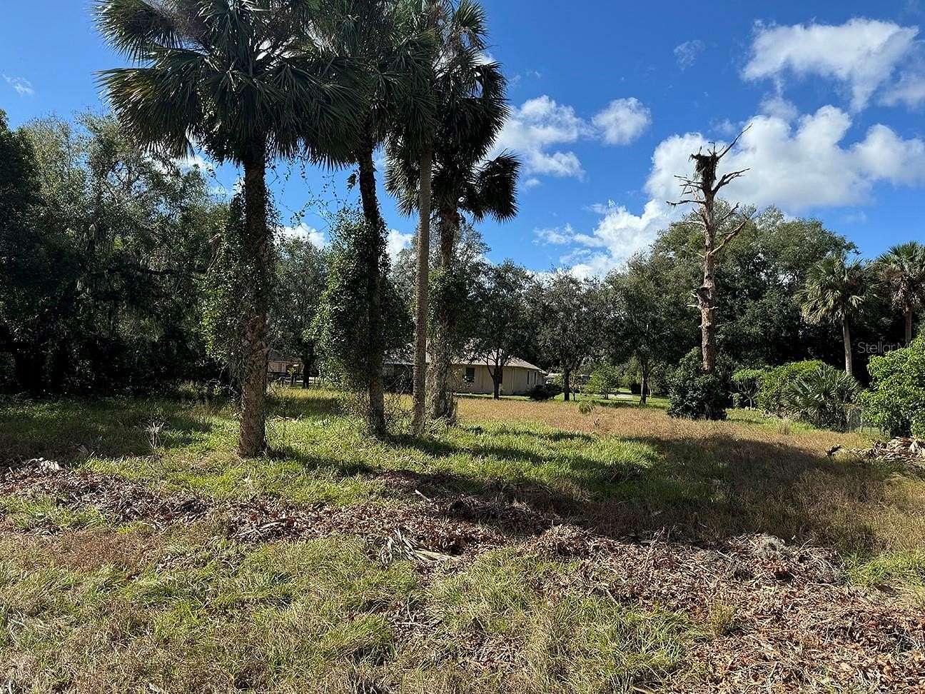 0.55 Acres of Residential Land for Sale in Osteen, Florida