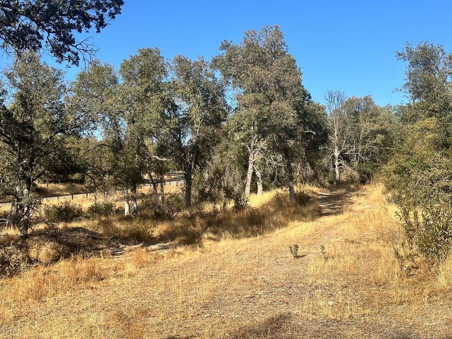 3.8 Acres of Residential Land for Sale in North Fork, California