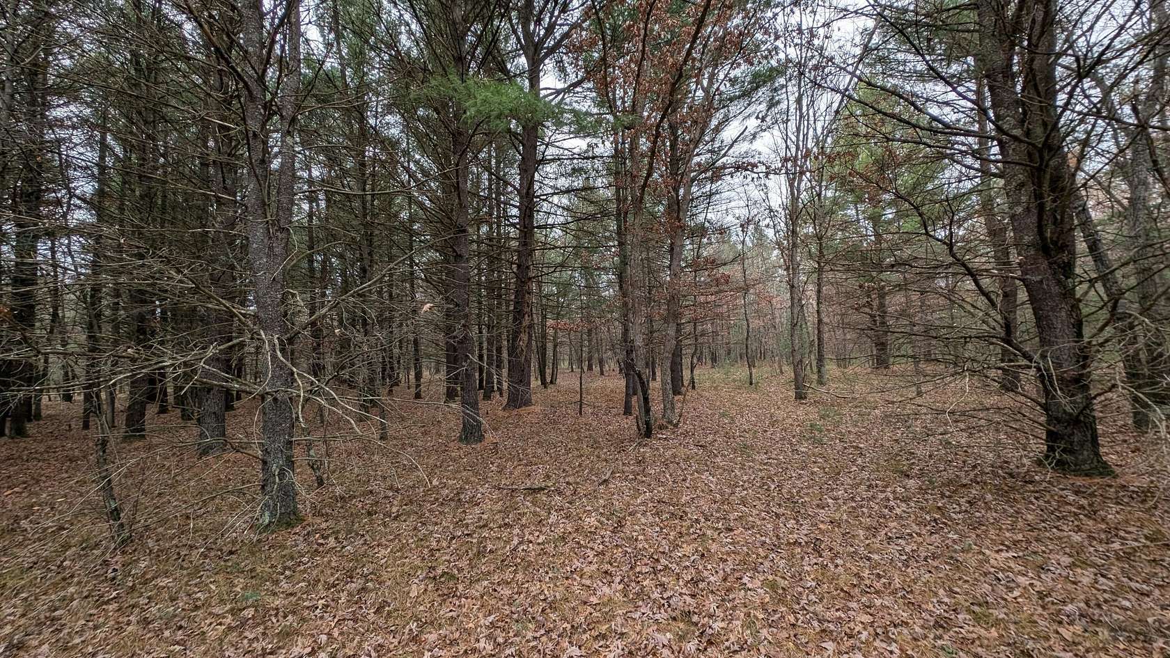 2.5 Acres of Residential Land for Sale in Irons, Michigan