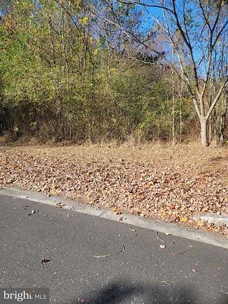 1.62 Acres of Land for Sale in Elmer, New Jersey